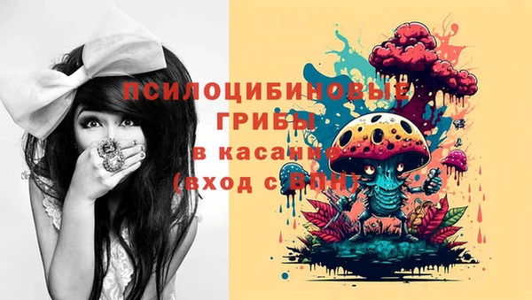 наркотики Медвежьегорск