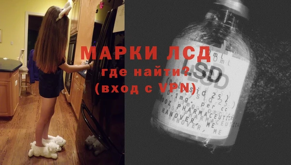 шишки Медвежьегорск